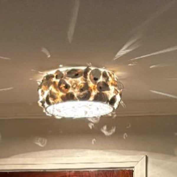 Flush mount oyster shell light fixture