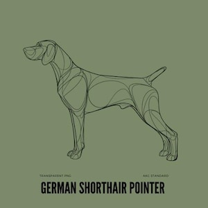 May include: Line art illustration of a German Shorthaired Pointer dog in black on a green background. The dog is standing with its head turned to the left and its tail curled up.