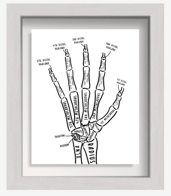 Hand Anatomy Wall Art Minimalist Occupational Therapy - Etsy