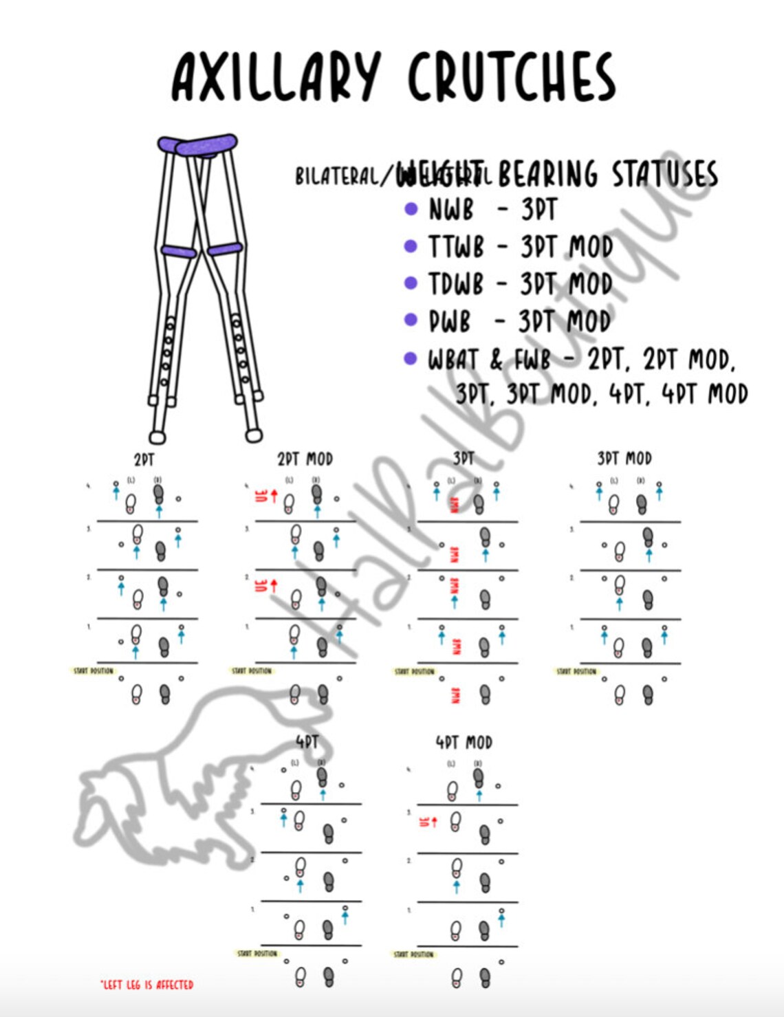Gait Patterns, Assistive Device, Weight Bearing Status, Study Guide