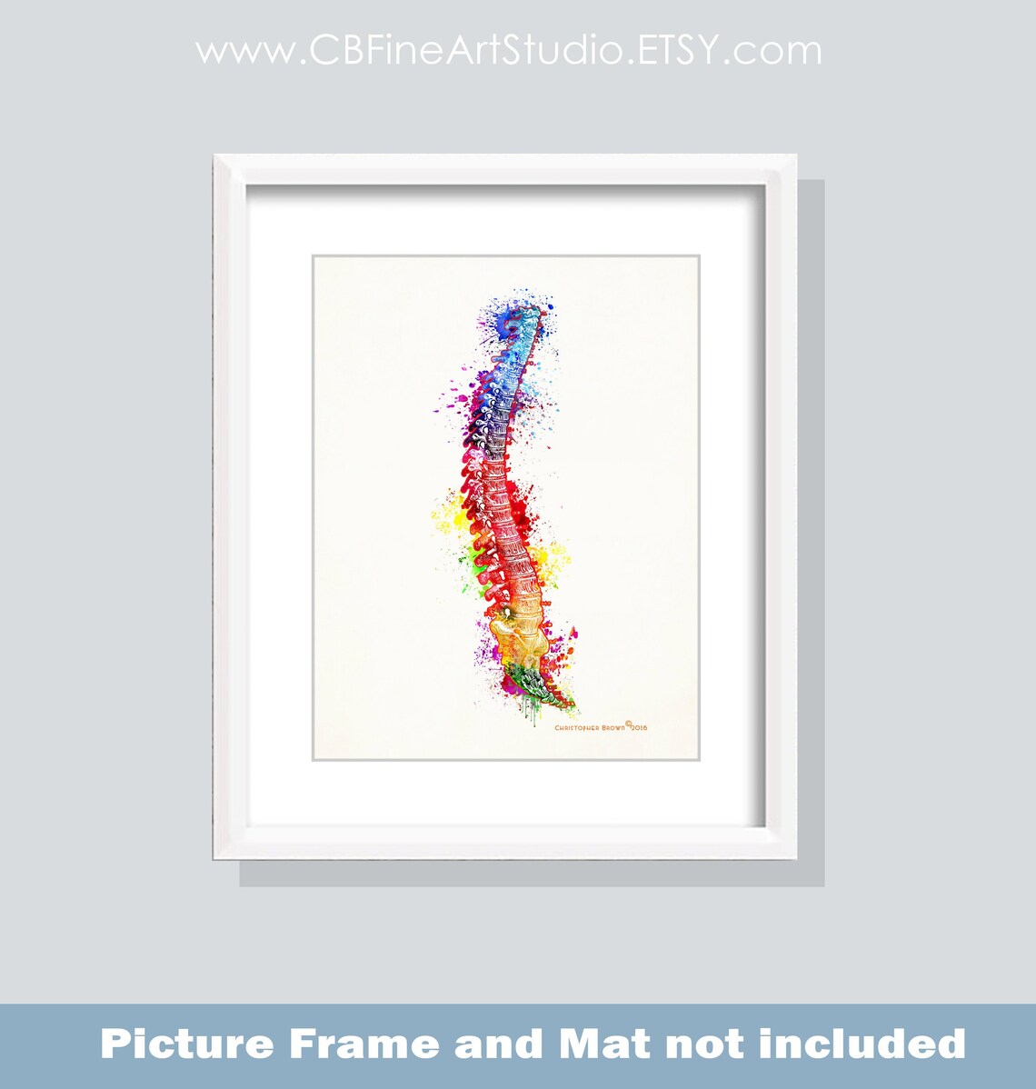 Anatomy Art spine Watercolor Spine Print Medical Decor - Etsy