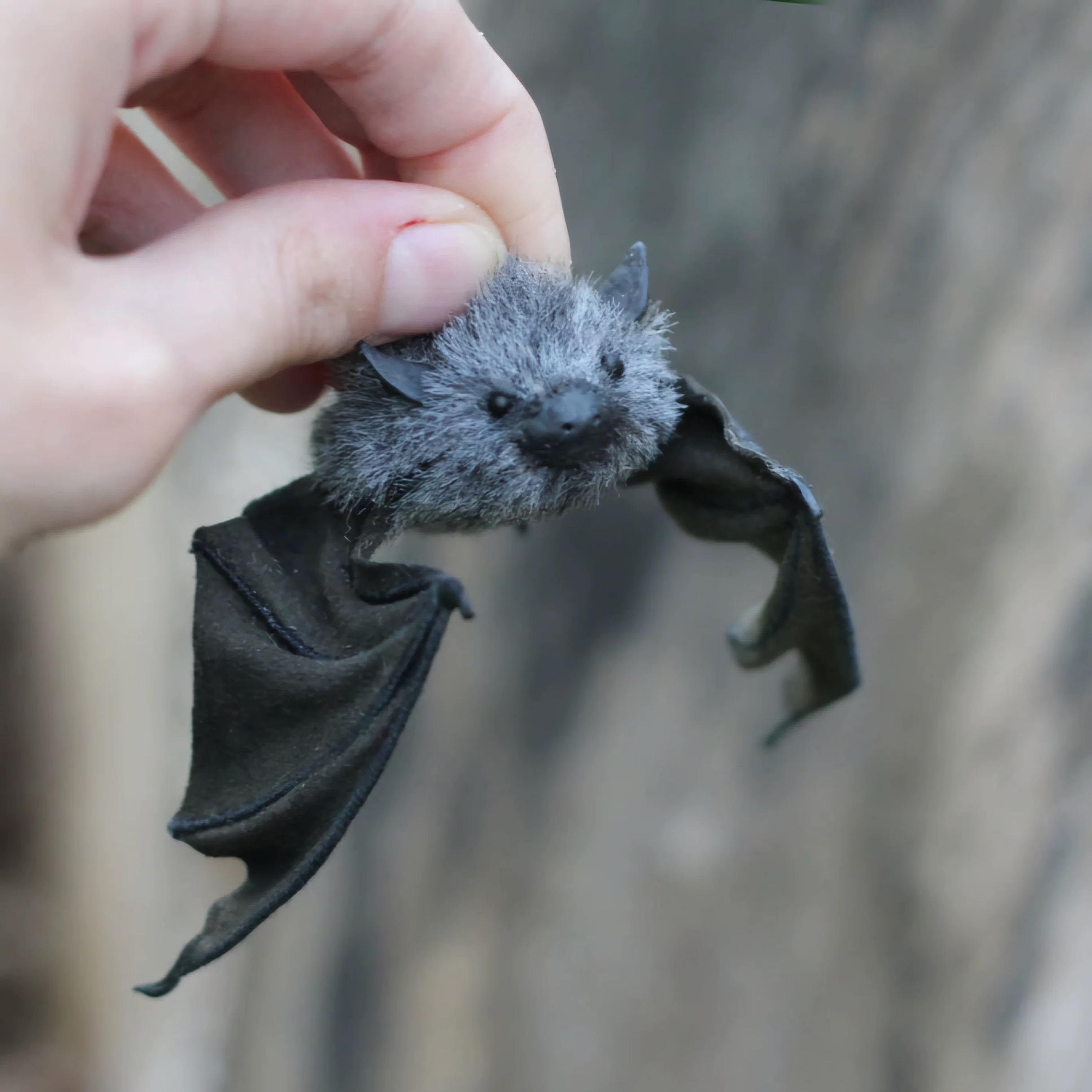 needle felted bat, needle felted animal, felted wool bat, bat felted, bat lover，gift，pets