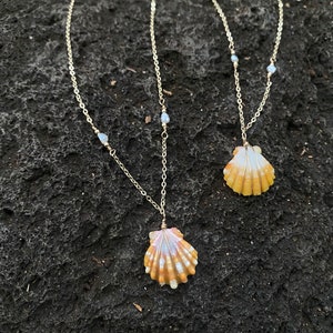 May include: Two gold-colored necklaces with seashell pendants. The shells are tan and white, with a delicate wire wrap. Each necklace has small, light blue beads. The chains are thin and delicate, creating a beachy aesthetic.