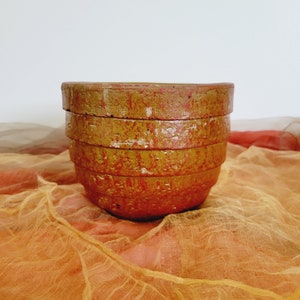 Puede incluir: Un macetero de color terracota con un diseño texturizado y en capas. El macetero tiene un tono marrón rojizo con toques dorados.