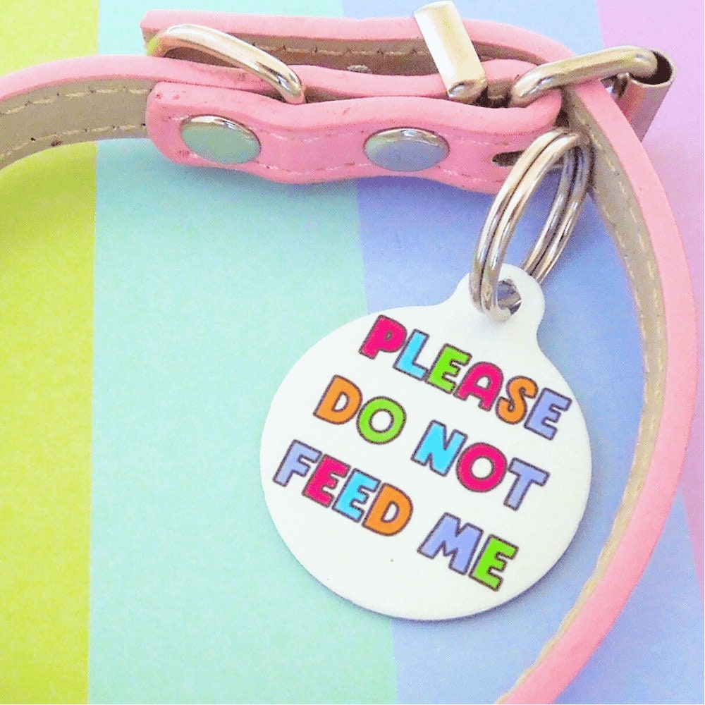 Medical Pet ID Tag Dog Medication Tag Indoor Cat Tag Dog Do Etsy UK