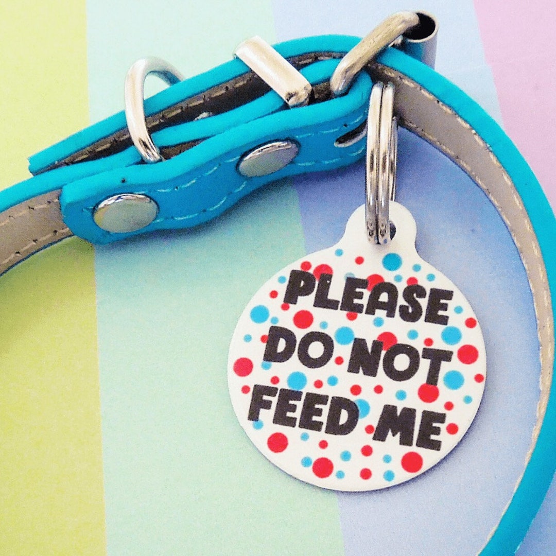 Medical Dog ID Tag, Do Not Feed Cat Tag, Do Not Feed Dog ID Tag, Indoor