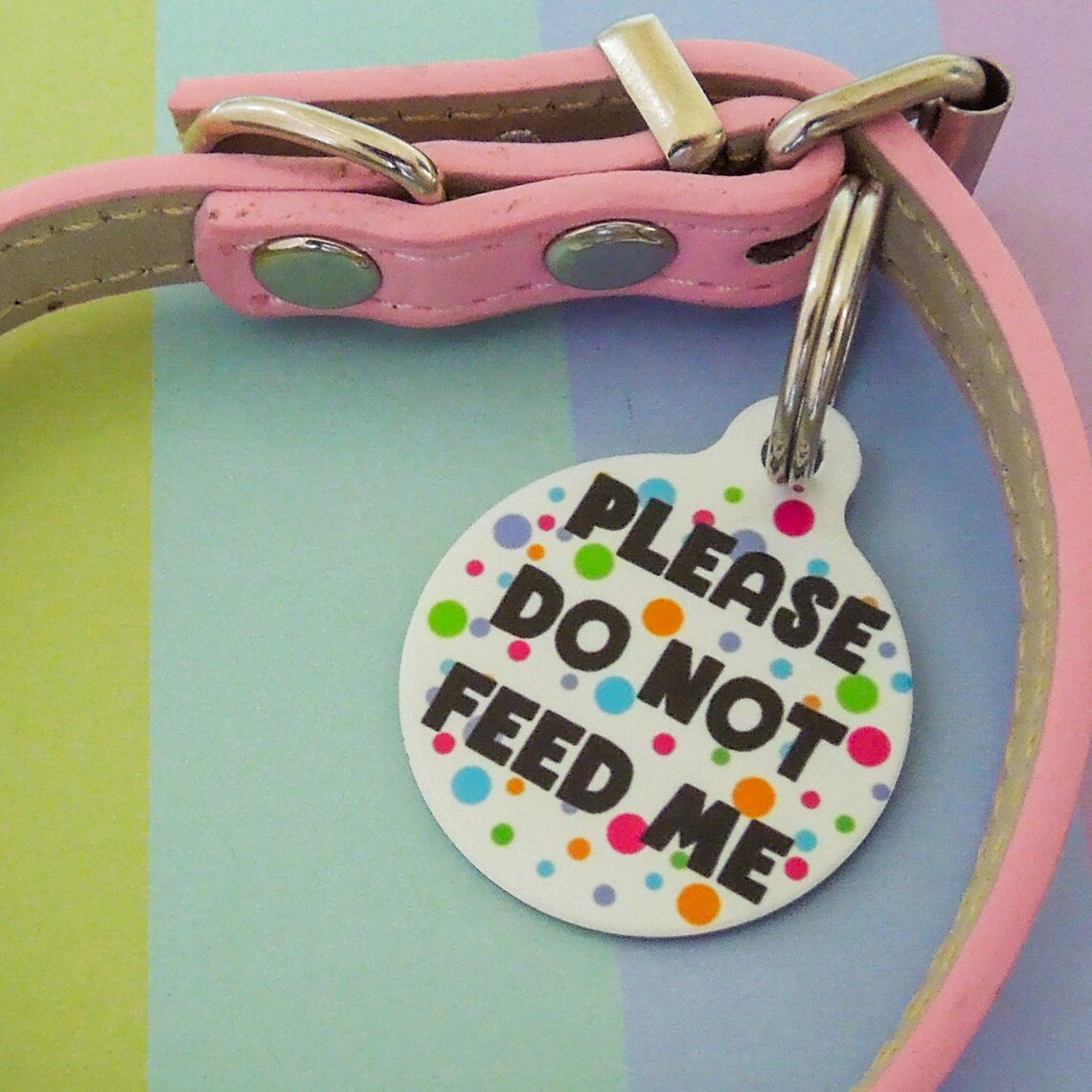 PLEASE Do Not Feed Me Personalised Cat Dog Horse ID Tag Etsy