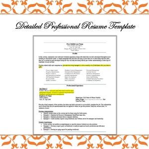 Detailed Professional Resume Template - Federal Government, Professional Resume. USAjobs.gov - Governmentjobs.com -indeed.com