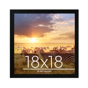 ITIMIDI 20x20 Frame Black Picture Frame Display 16x16 Print with Mat or  20x20 without Mat Photo Poster Frame -1PCS