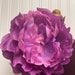 see more listings in the Broche à fleurs section