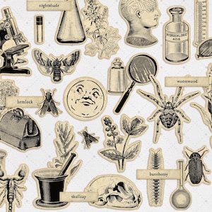 Naturalist Halloween Junk Journal Fussy Cuts, Vintage Halloween Extras Pack, Digital, Printable Ephemera, Paper Craft, Collage Sheet 8.5x11