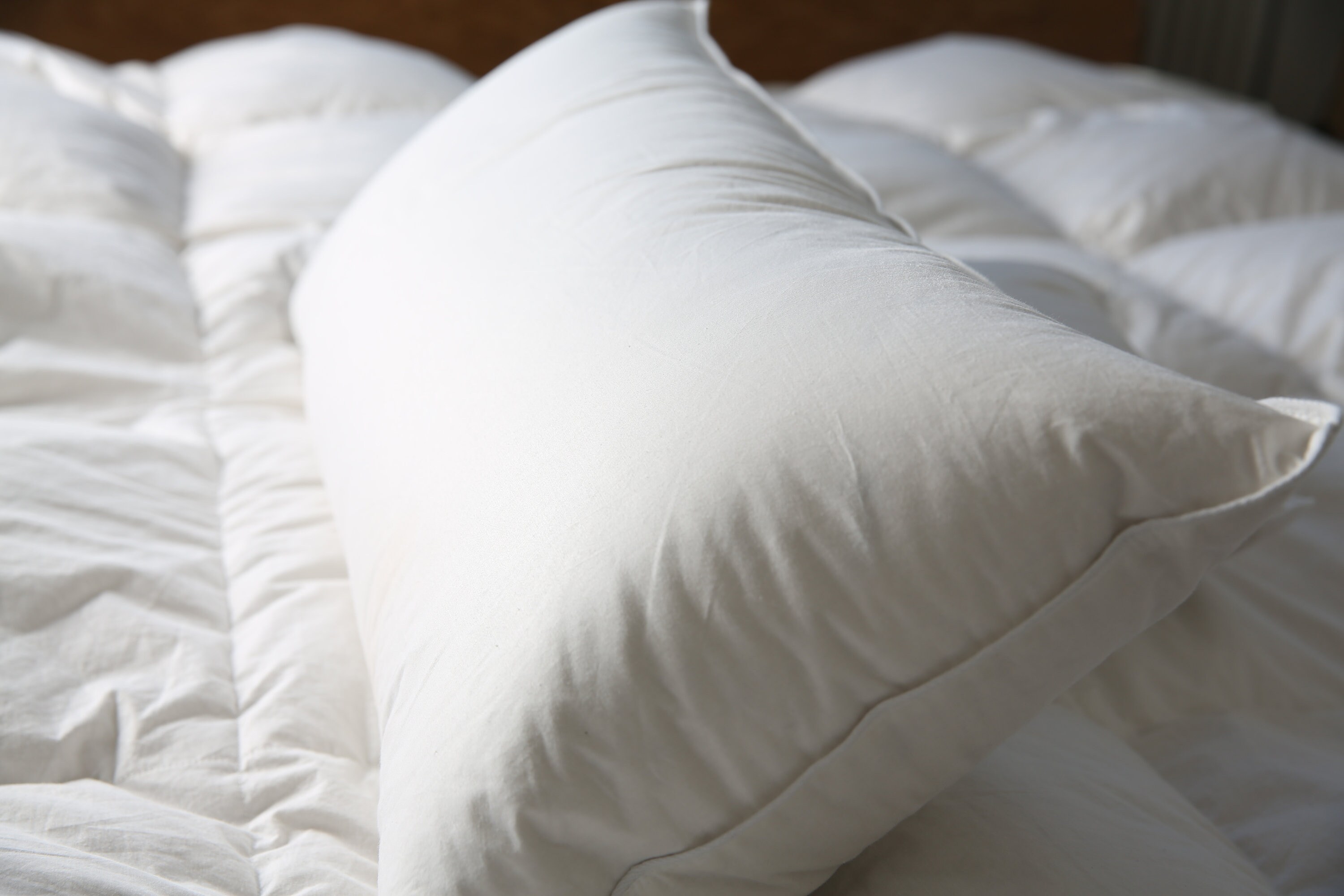 Down Pillow 40x80 800g Pillow 100 Natural by Down Atelier Etsy