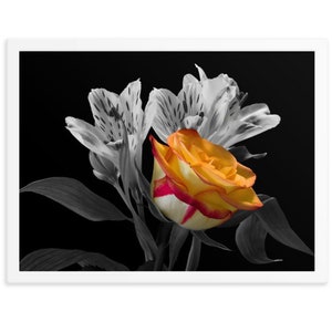 Floral Wall Art Framed Poster, yellow Rose Wall Art Framed Poster, Floral White Framed Art Decor