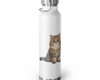 Cat Design Insulated Bottle: 22oz Stainless Steel Tumbler