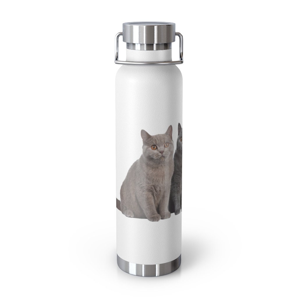 bouteille isotherme sous vide design chat 22 oz, cadeau pour elle, lui, d'anniversaire, de noël, gobelet chat