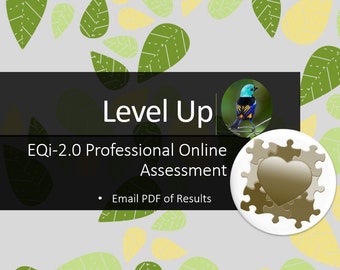 Level Up! EQi-2.0 Professional Online Assessment