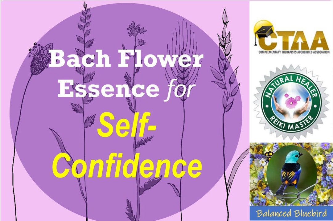 Bach Flower Essence for Selfconfidence Etsy