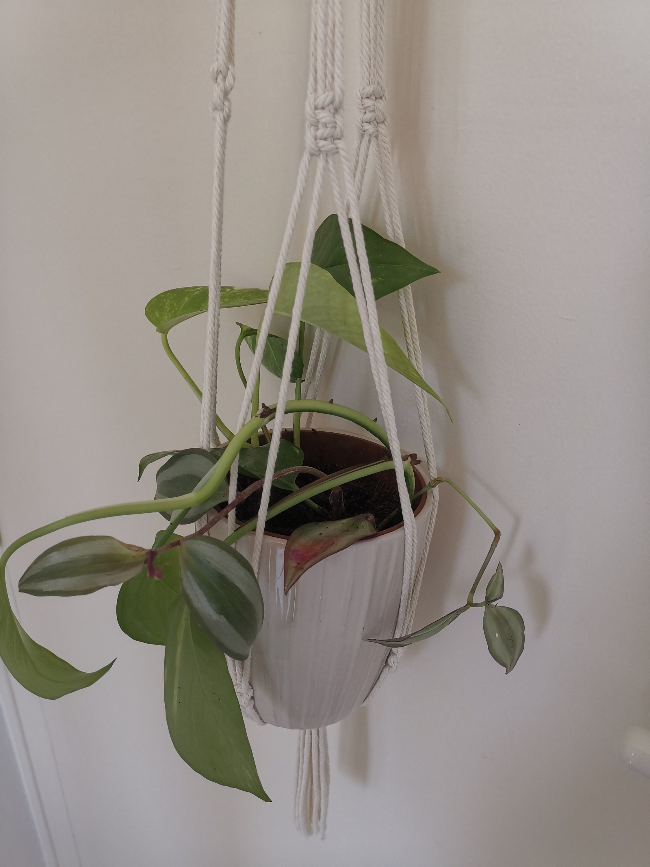 Suspension Pour Plante en Macramé - Modèle Baïa