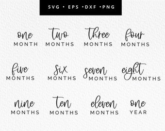 Monthly Milestones SVG, 12 Monthly Milestone, Milestone SVG Cut Files, Monthly Milestones Cricut, Baby Milestones png, Commercial Use