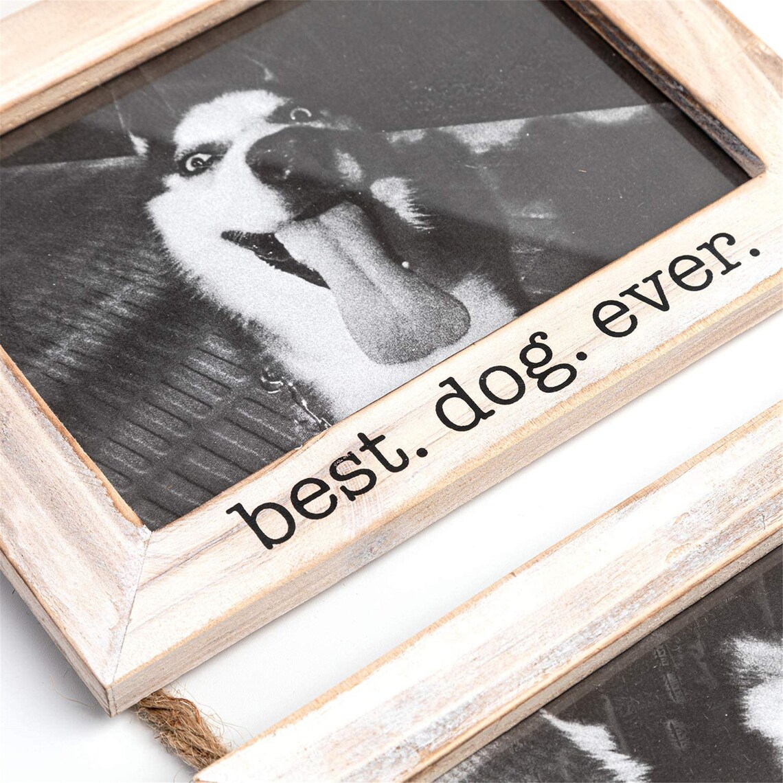 Collage hanging picture frame dog 3 photo frame sets 5 inches Etsy