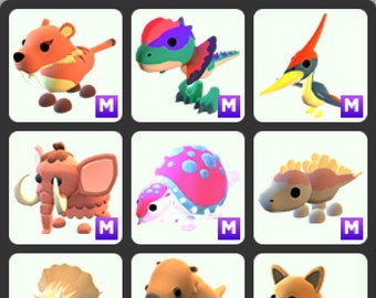 Featured image of post Dingo Adopt Me Roblox