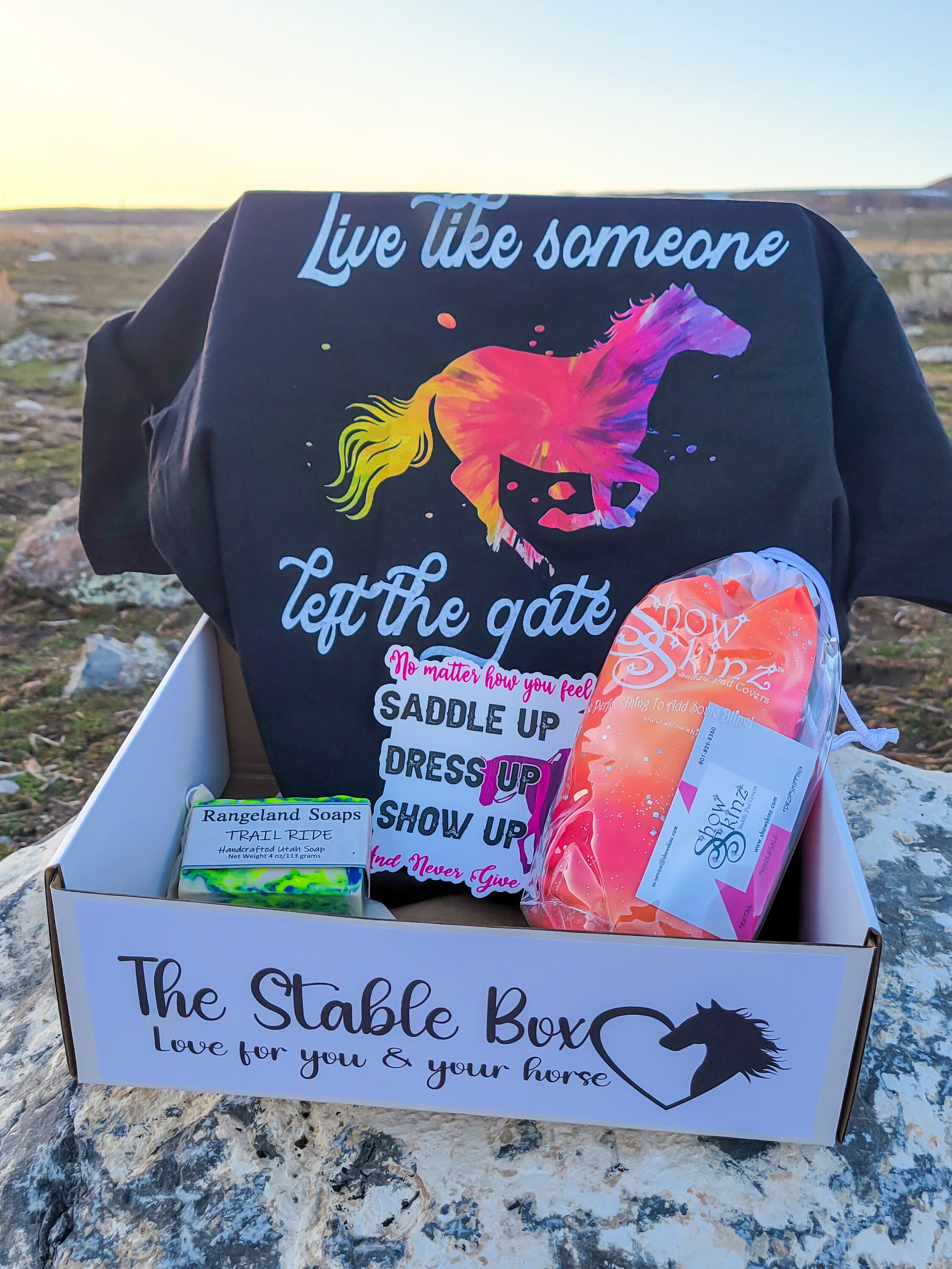 The Stable Box Horsethemed Graphic Tee Horse Treats Etsy