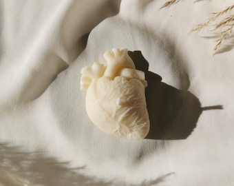 Heart and brain candle, realistic heart, realistic brain, Halloween decoration, birthday gift, soy wax candle, human organs