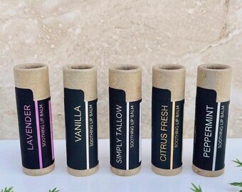 Natural Lip Balm Gift Set Sister Birthday Stocking Stuffer Teen Girl Beauty Product Zero Waste Free Packaging Biodegradable Tube Bison