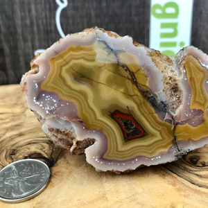 Mexican Agate Crazy Lace Polished and Rough, Vivid Yellow-Orange & Beige, Arcoiris Deposit image 5