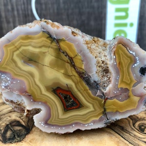 Mexican Agate Crazy Lace Polished and Rough, Vivid Yellow-Orange & Beige, Arcoiris Deposit image 1