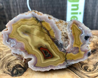 Mexican Agate Crazy Lace – Polished and Rough, Vivid Yellow-Orange & Beige, Arcoiris Deposit