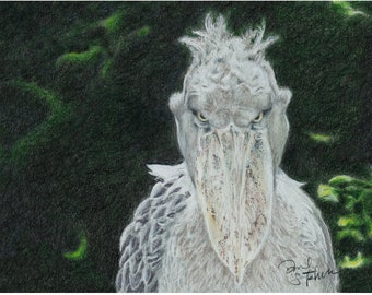 Schuhschnabel Storch - 8x10 - Hochwertiger Druck - Vogel Kunst - Vogel Illustration - Vogel Bild - Wandkunst - Wohnkultur