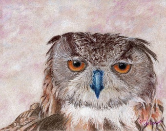 Unimpressed Owl - 8x10 - High Quality Print - Bird Art - Bird Illustration - Wildlife Art - Wall Art - Home Decor