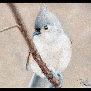 Büschelmeise - 8x10 - hochwertiger Druck - Vogel Kunst - Vogel Illustration - Vogel Bild - Wandkunst - Wohnkultur