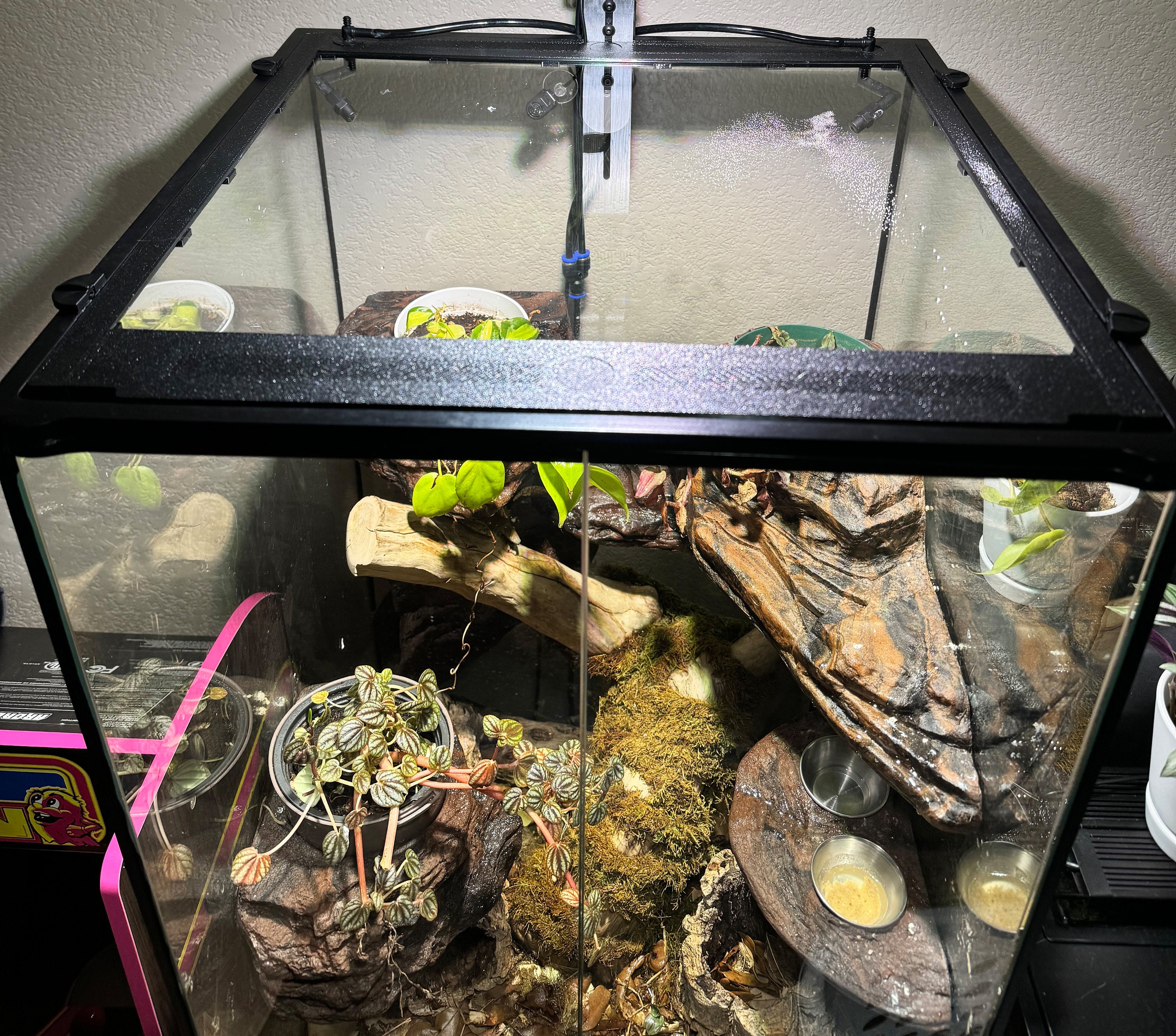Tinkerframe Small Lid Replacement Lid Upgrade Kit for Exo Terra Small 18x18 Terrarium New Design Etsy