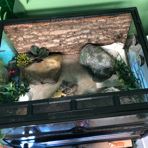 Tinkerframe Medium Replacement Lid Upgrade Lid Kit to Make a Etsy