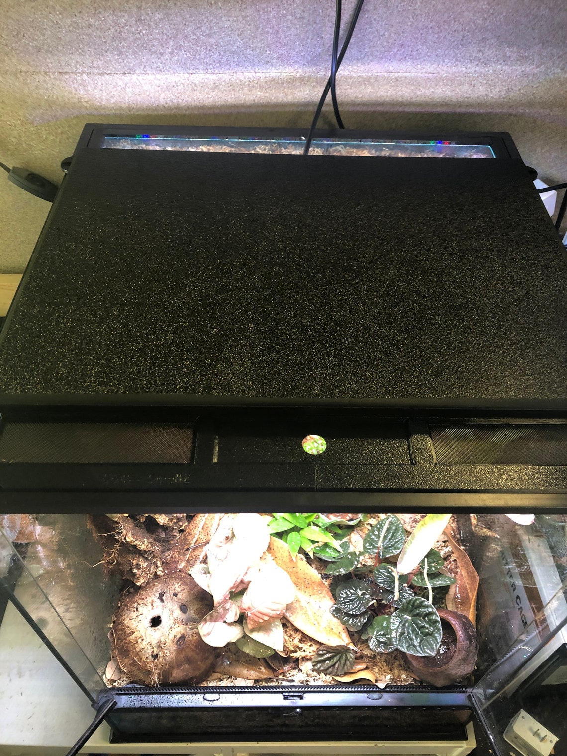 Tinkerframe Small lid Replacement lid for Exo Terra Small Etsy