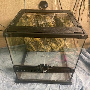 Tarantulas Enclosure, Spiders, Centipedes. Box Cauldron Medium Size. Exotic  Animals Supplies 