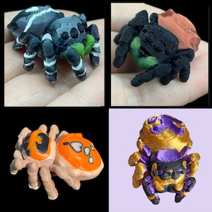 Figura de araña saltadora, regalo de araña saltadora impresa en 3D, araña saltadora atrevida, araña saltadora de espalda roja, decoración de araña saltadora, real
