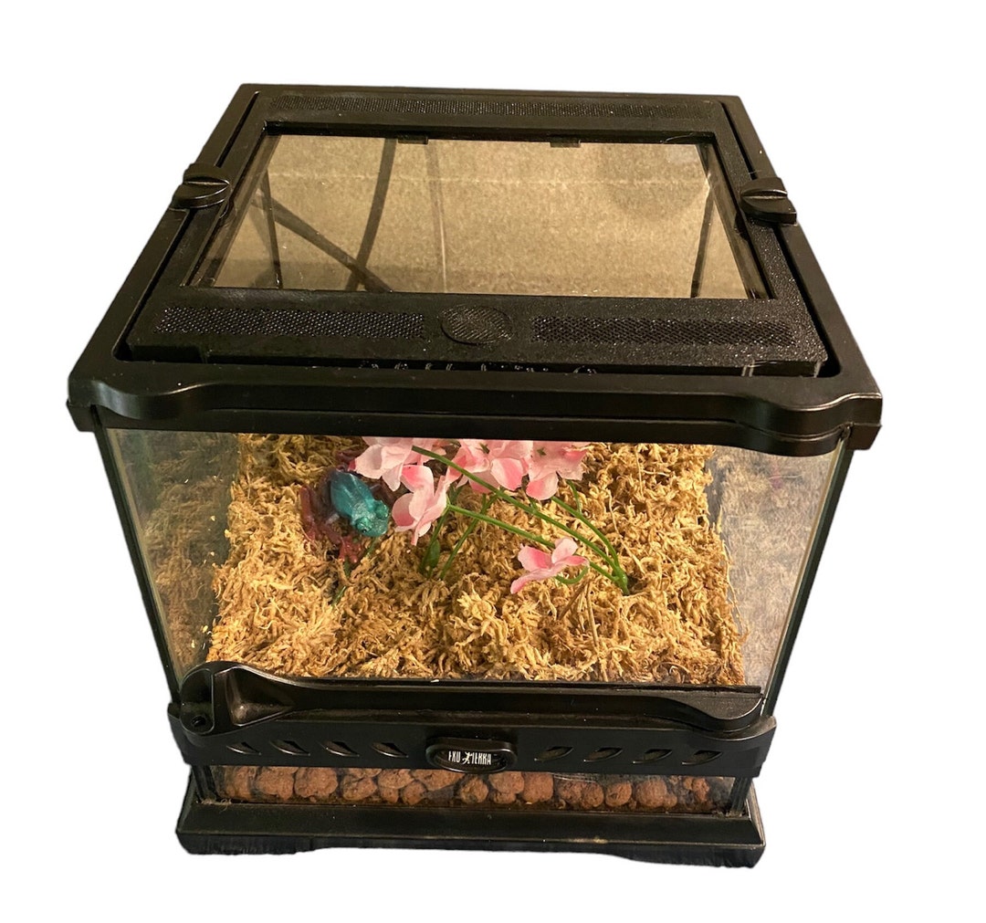 Exo terra clearance glass terrarium 36x18x18