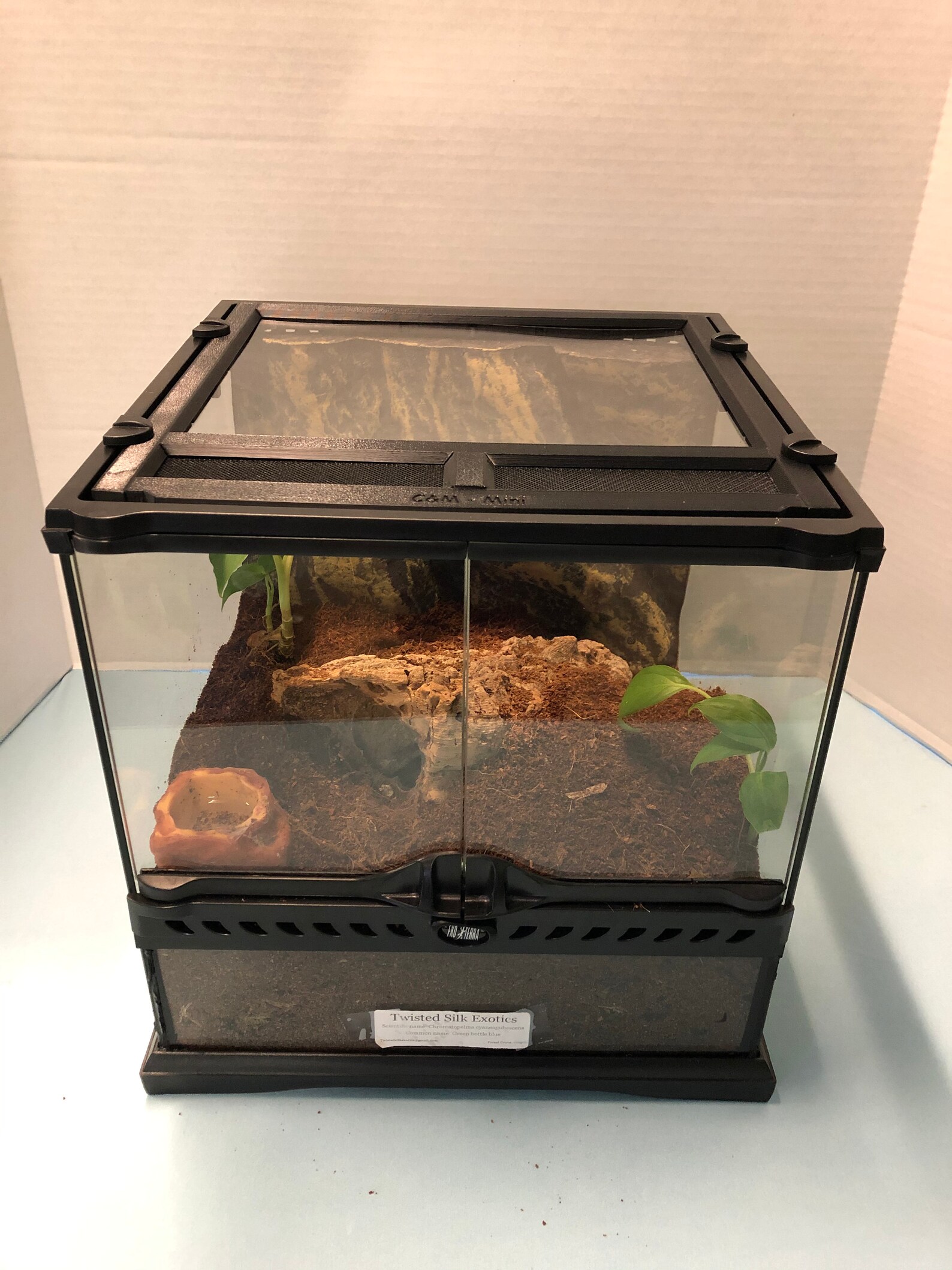 Tinkerframe Mini Lid Kit Replacement Lid for Exo Terra Mini Etsy