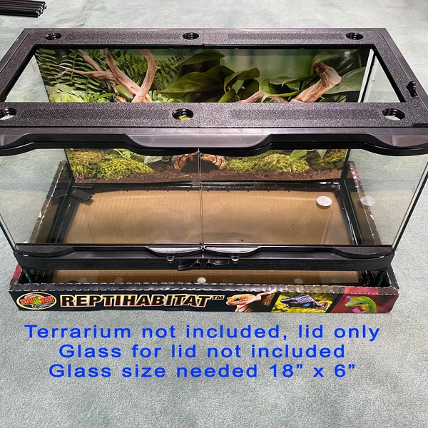 20 Gallon Terrarium Etsy