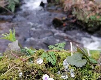 Amethyst and natural, white, freshwater pearl, sterling silver, stud earings.