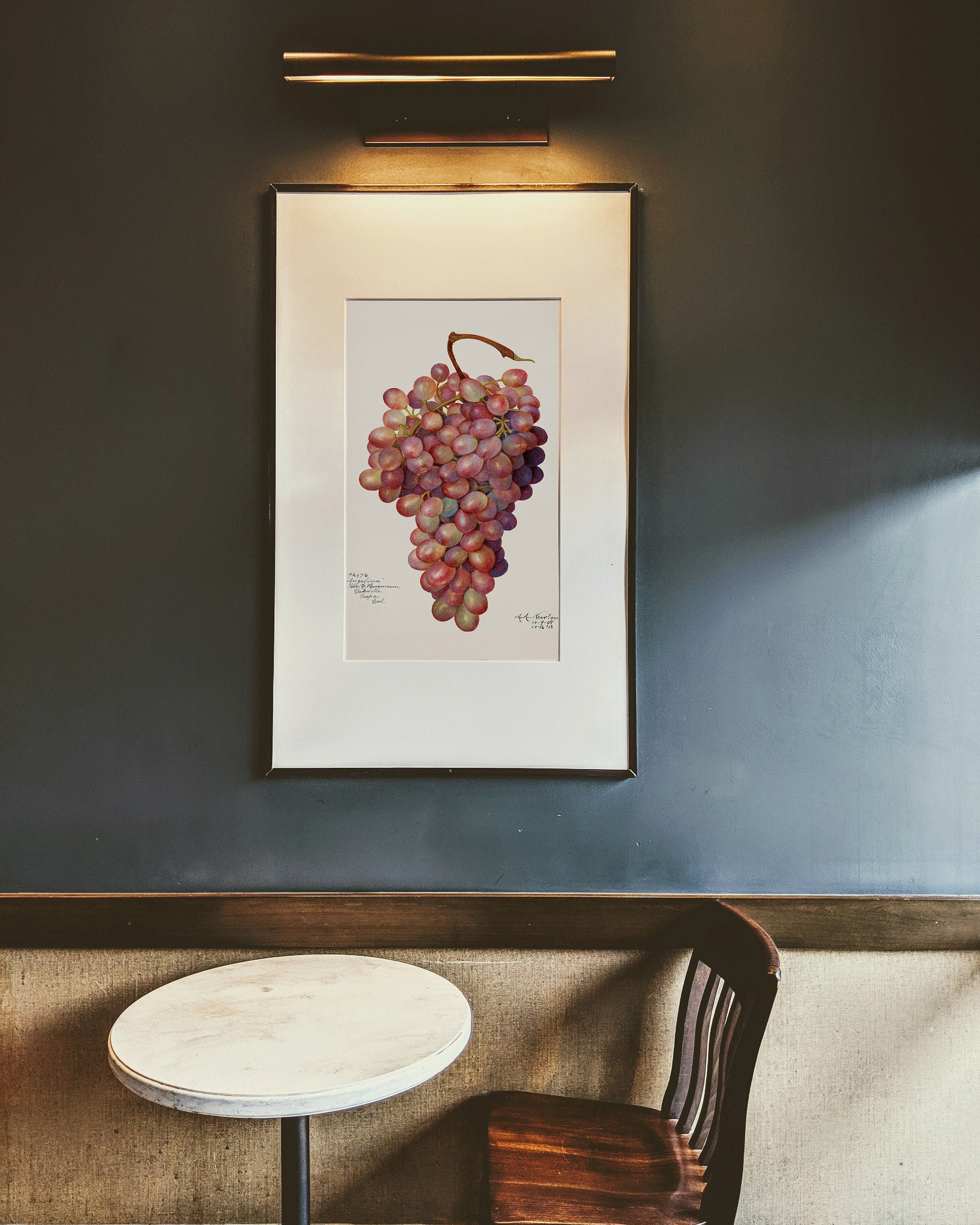 Impression Botanique Antique, Illustration de Raisins Notre Collection Méditerranéenne, Impressions 