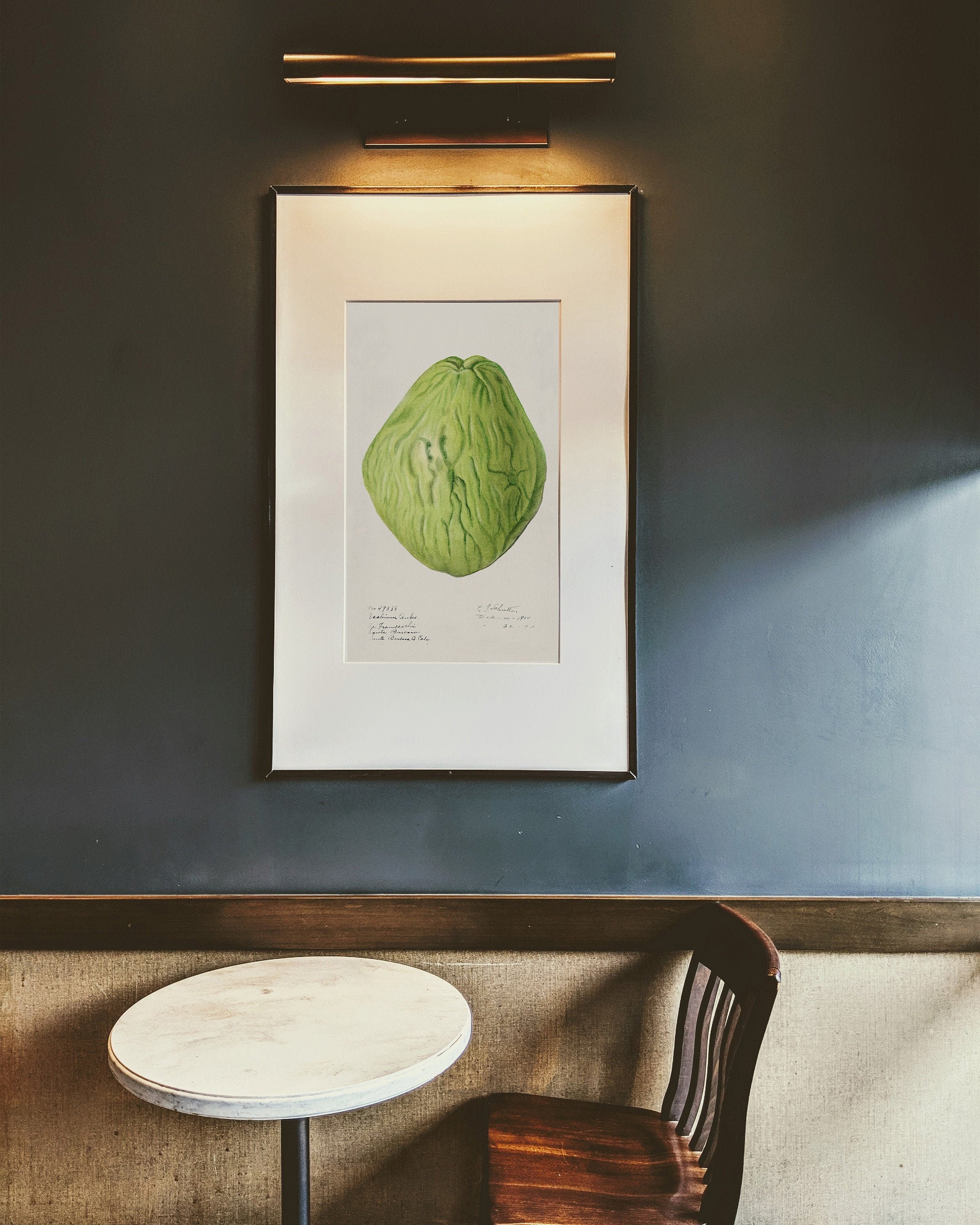 Impression Botanique Antique d'un Chayote, Collection de Fruit Des Caraïbes, Impressions d'art Cuisi