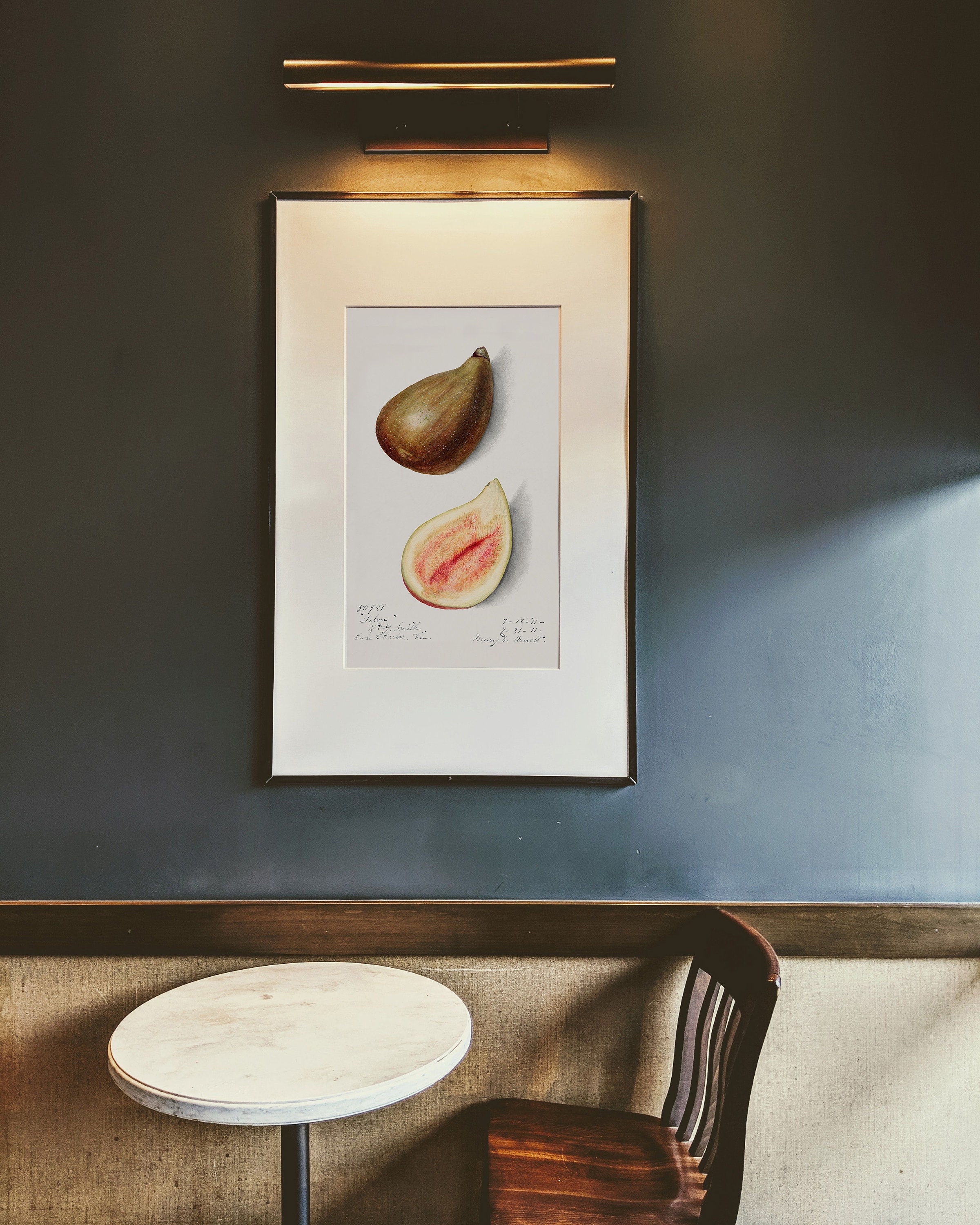 Impression Botanique Antique, Illustration Des Figues, Partie de La Collection Méditerranéenne, Impr