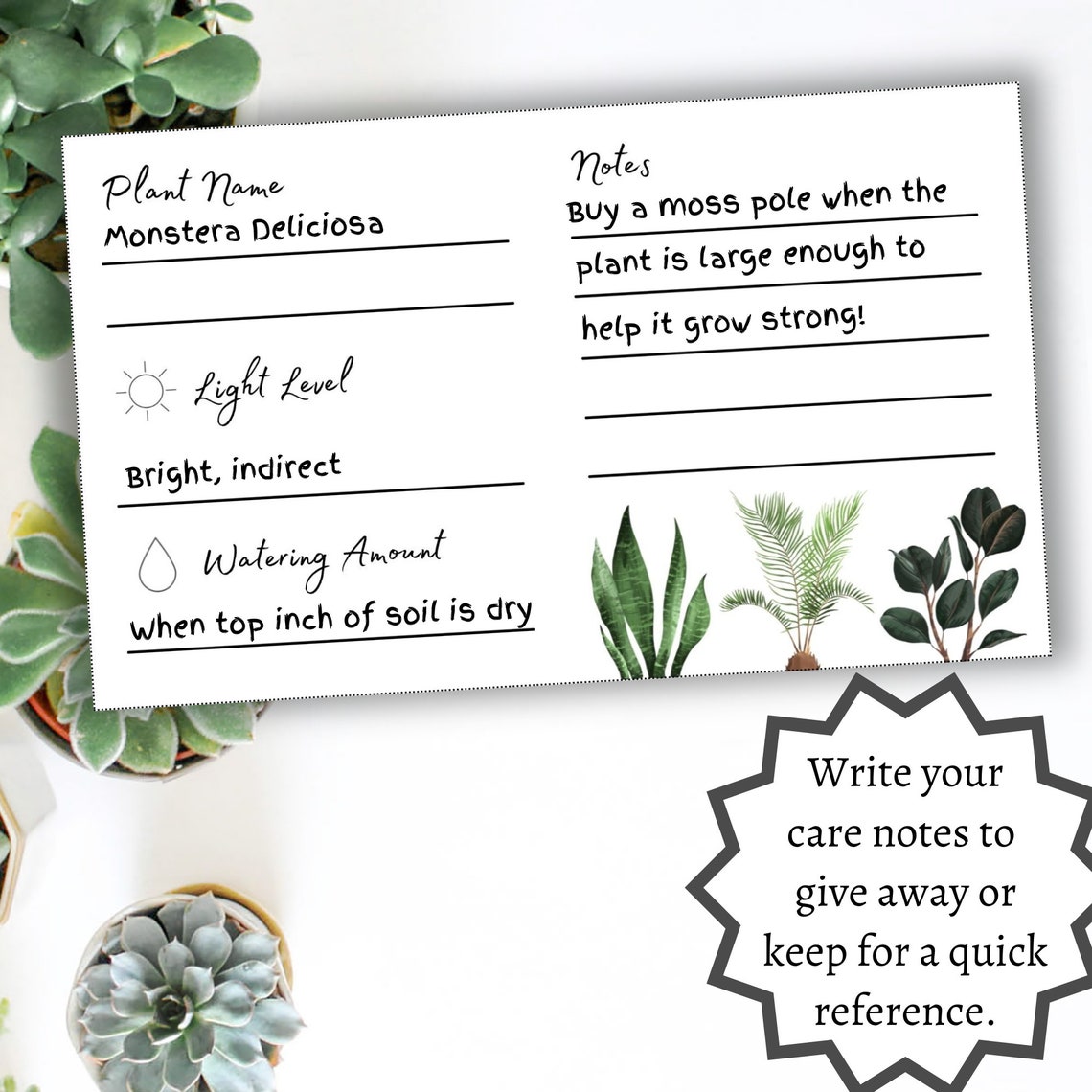 Plant Care Card Blank Card Printable Digital Download Etsy