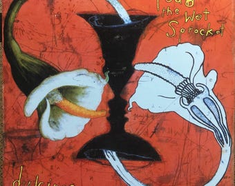 Toad The Wet Sprocket Dulcinea Double Sided 1994 Columbia Records Promo Poster