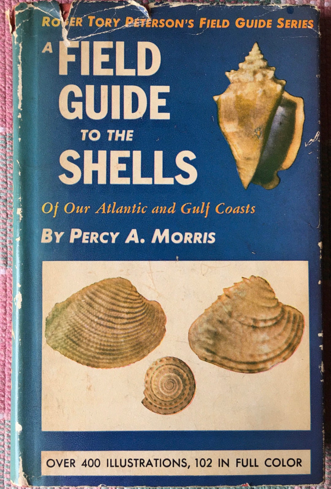Shells Progression Guide A Field Guide to the Shells of Our Atlantic and Gulf Coasts Percy ...