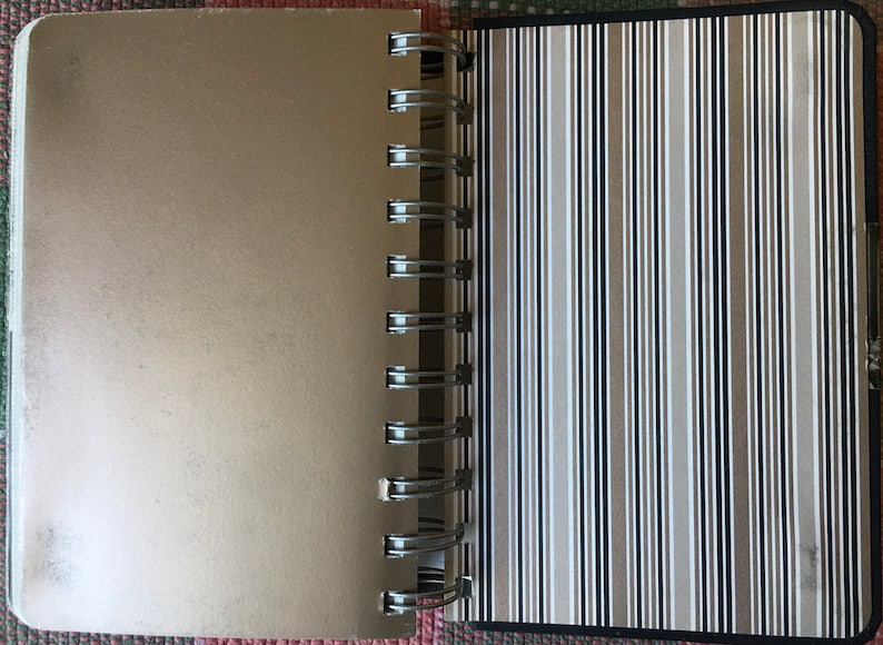 Pu&ograve; includere: Un quaderno color oro con una copertina a righe bianche e nere. Il quaderno ha una rilegatura a spirale in metallo.